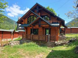 Еко будинок в горах，位于Verkhniy Bystryy的酒店