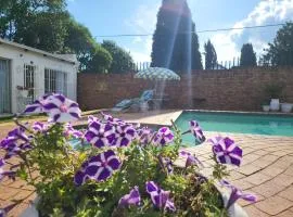 Villa Francisco Bed & Breakfast