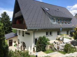 Forsters Schwarzwald Pension，位于费尔德伯格的酒店