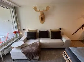 Stylish Alpine Studio in Davos, Wifi & Netflix