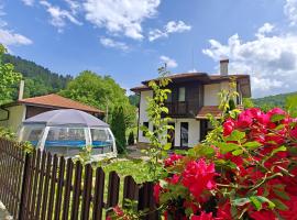 Къщи за гости Тепавица - Pool & Coworking，位于特里亚夫纳的酒店