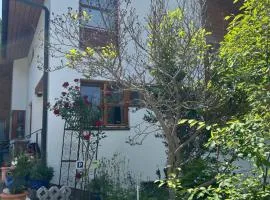 Bijou Homestay II - Mansarde Room w Mountain View