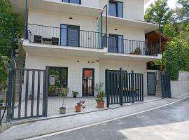 Casa Stejaru，位于伯伊莱戈沃拉的酒店