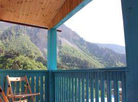 Guest house Emzar and Chuta，位于Adishi的酒店