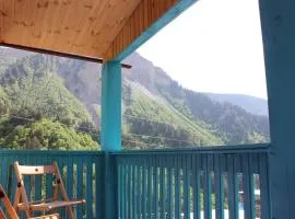 Guest house Emzar and Chuta