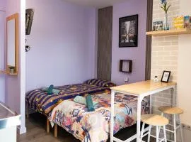 Cozy compact studio France