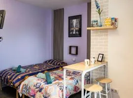 Cozy compact studio France