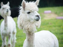 Piggy，位于彭布罗克的酒店