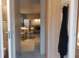 Basement Apartment