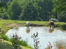 Domaine De Domingeal Meublé de Tourisme 3 étoiles