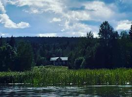 Traditional Swedish loghouse，位于哈格福什的酒店