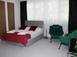 Résidence Appartment Gebenstorf，位于Gebenstorf的酒店