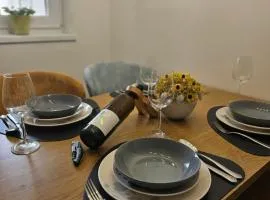 Apartma VINT