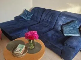 Pušų lašas apartamentai
