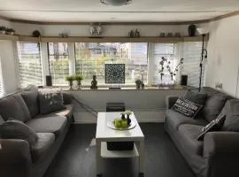 Pallegarste, Sunny place