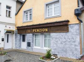 Penzion 43，位于Bor的酒店