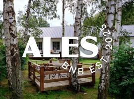 Ales BnB，位于Löderup的酒店