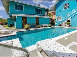 Modern Apartment near Pigeon Point with Breakfast