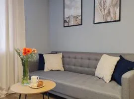 Kosmonaudi Apartment