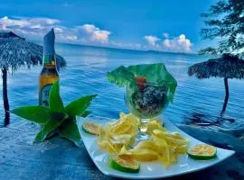 Exotic Island Beach lodge