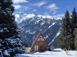 Fantastic view - Chalet Karakol