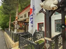 Hotel Gâlma