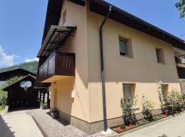 Hi&scaron;a JAVORNIK BOHINJ，位于博希尼的乡村别墅