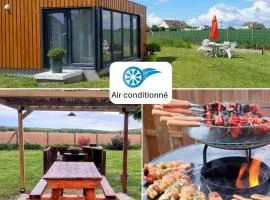 Chalet moderne avec grandes baies vitrées et espace plancha