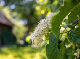 Fewo Silke Dethlefsen，位于佩尔沃姆的住宿