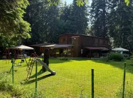Persey Villa Borovets