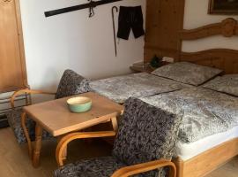 Pronájem pokoje v Bayerisch Eisenstein，位于拜尔里舍艾森施泰恩的酒店