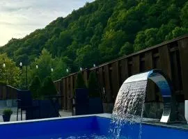 Приватна садиба Шаянське джерело