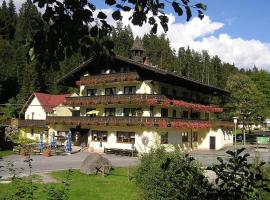 Gasthof Mühle – Natur- & Wanderhotel，位于Rinchnach的酒店