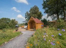 Dol Y Mynydd The Mountain Meadow - Cottage