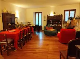 La Misun d'Erio by Holiday World