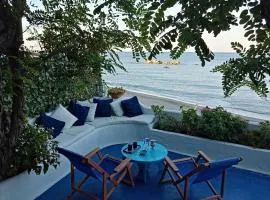 House on the beach