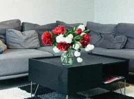 Mērsraga Miera Osta