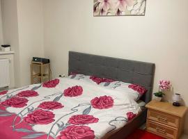 U Tonyho - Apartmán v centru Strakonice 2-kk，位于斯特拉科尼采的酒店