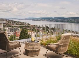 Belmont Residences lakeview in Horgen Zürich Zug Pfäffikon，位于豪尔根的酒店