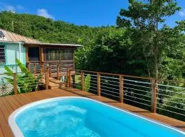 New Moon Escape - Affordable, Private Cottage with a Pool, WIFI and AC