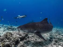 Ataraxis Grand and Spa Fuvahmulah，位于Fuvahmulah的带热水浴缸的酒店