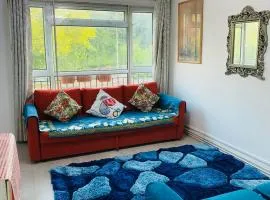 Cosy Home in Chatham