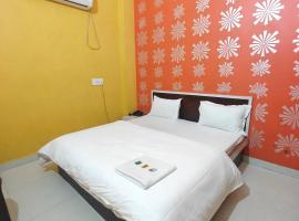 Hotel Pink City，位于Sīkar的酒店