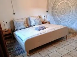 Travel Sleep & Home l Ruhige Übernachtung mit Main-Blick und Garten l Apartment und Gästezimmer