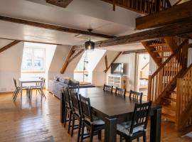 Grand duplex en plein centre，位于塞尔奈的酒店