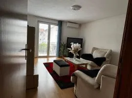 Apartman Leki
