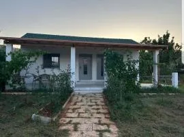 Doni's house