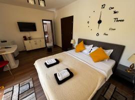 Muller Residence，位于蒂米什瓦拉的酒店