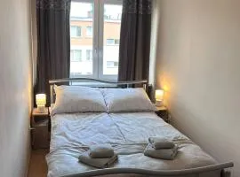 Kościuszki Elegant Apartment by BookingHost