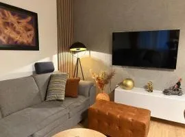 Apartment Gold Wing Sinj